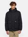 Dickies Plains Coat, black