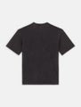 Dickies Plentywood Tee, black