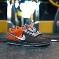 Nike SB Dunk Low 'Muni Fast Pass', safety orange / wolf grey / baroque brown