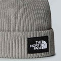 THe North Face Salty Lined Beanie, grey