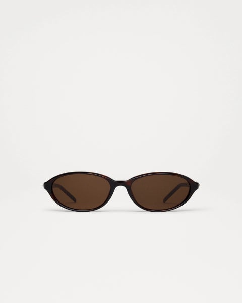 Chimi Ellipse, tortoise