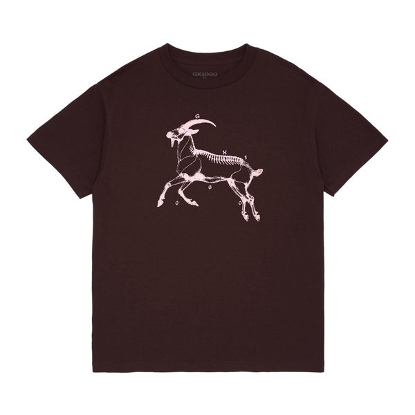 GX1000 Goat Tee, brown / pink
