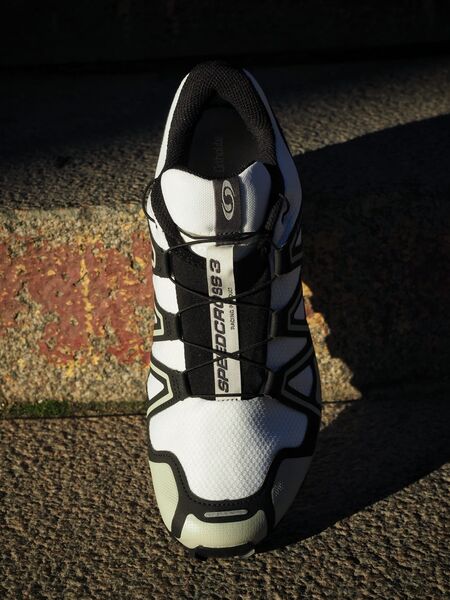 Salomon Speedcross GORE-TEX, white / grey / black