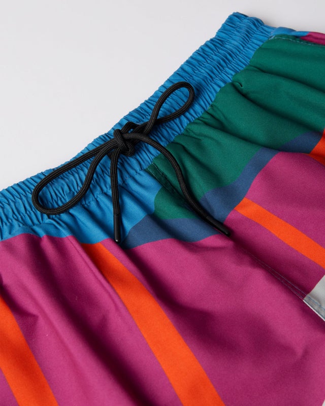 Parra The Festival Fence Swimshorts, blue / multi