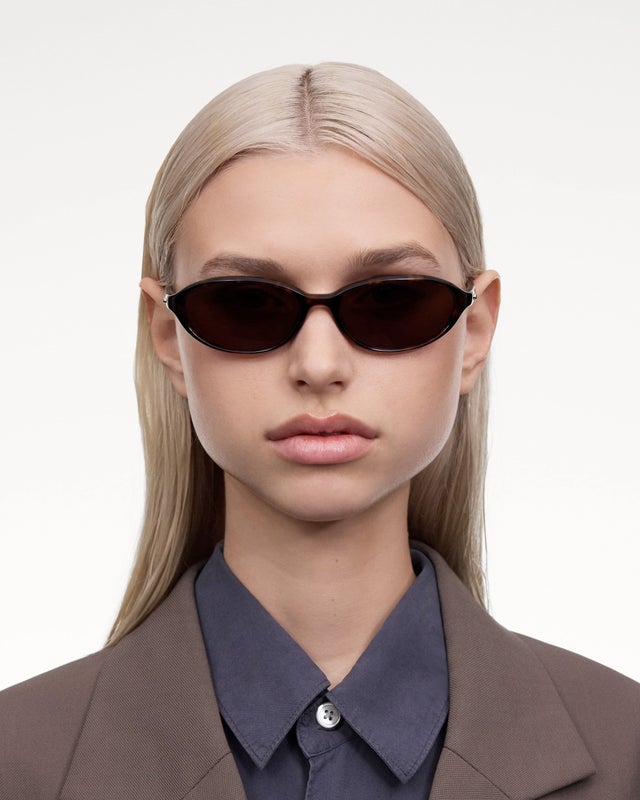 Chimi Ellipse, tortoise