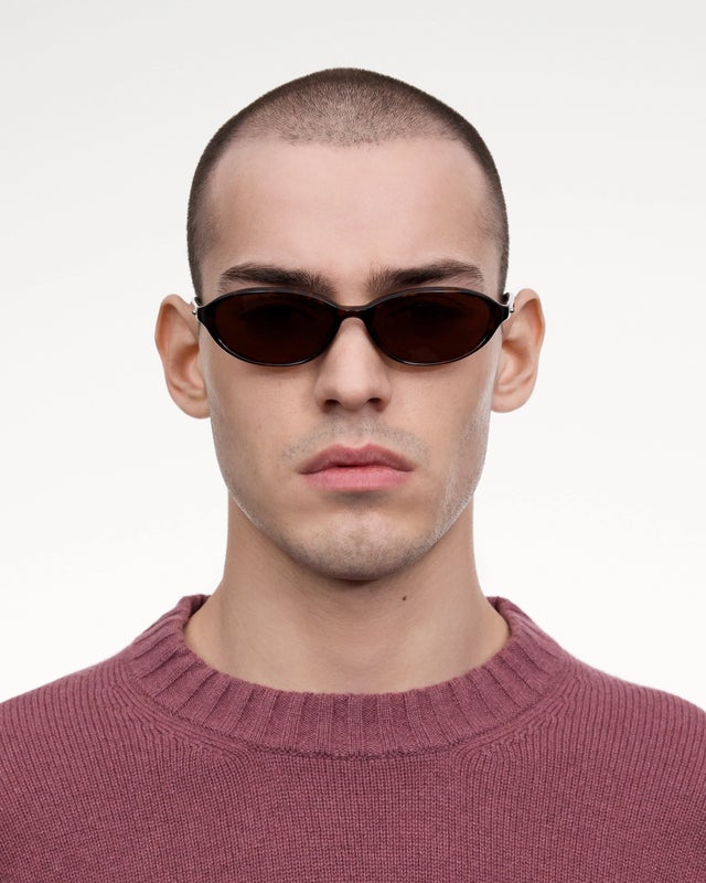 Chimi Ellipse, tortoise