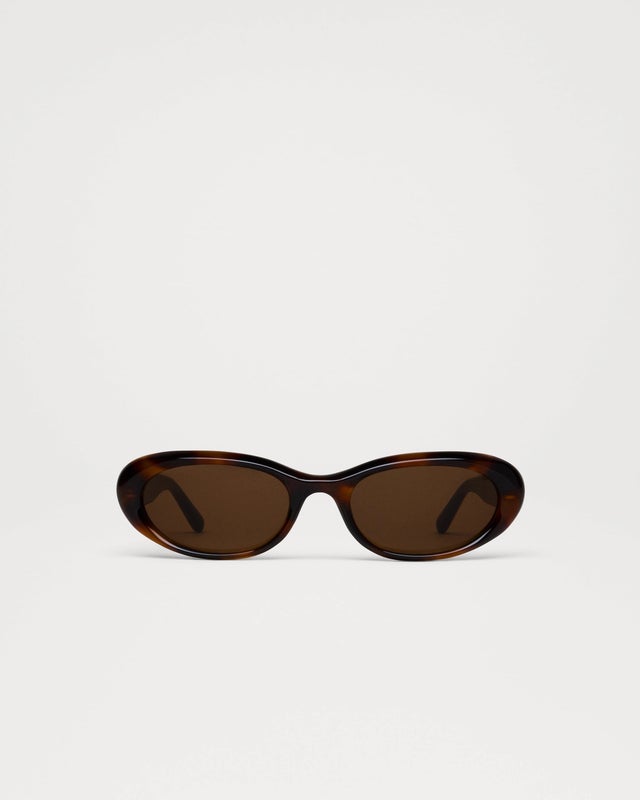 Chimi 09.4, tortoise