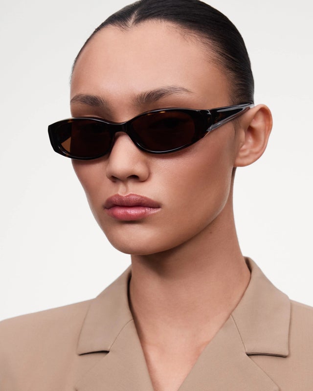 Chimi Note, tortoise