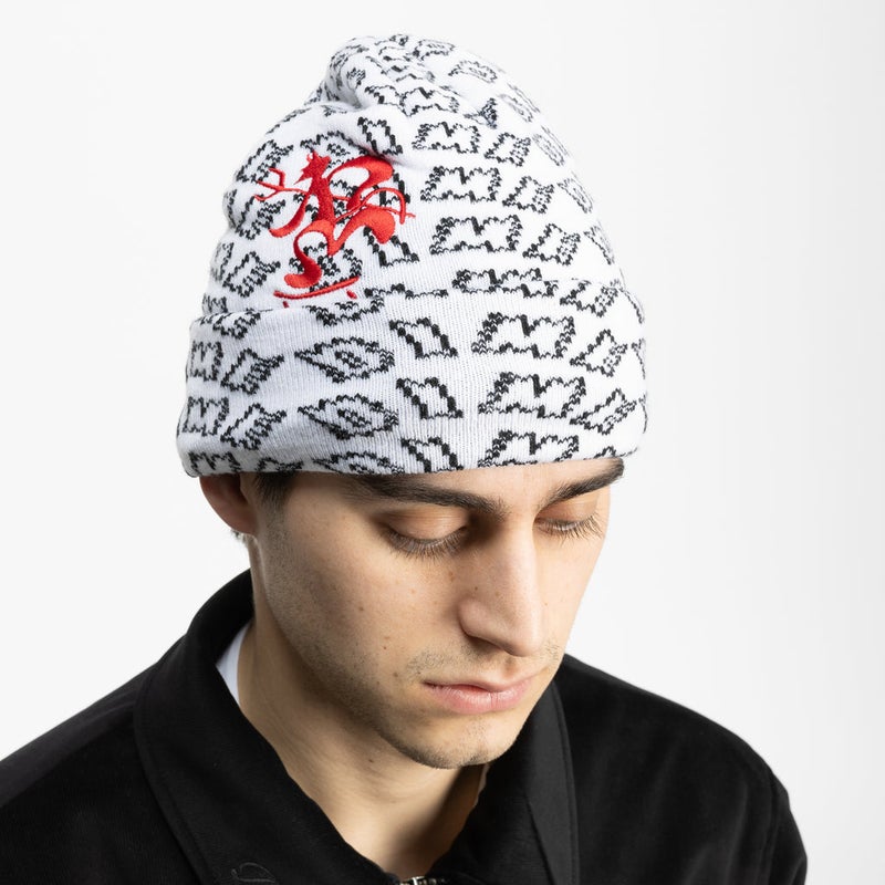 Dime Chopper Fold Beanie, white