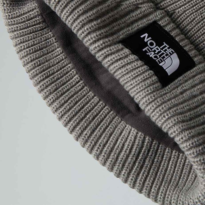 THe North Face Salty Lined Beanie, grey