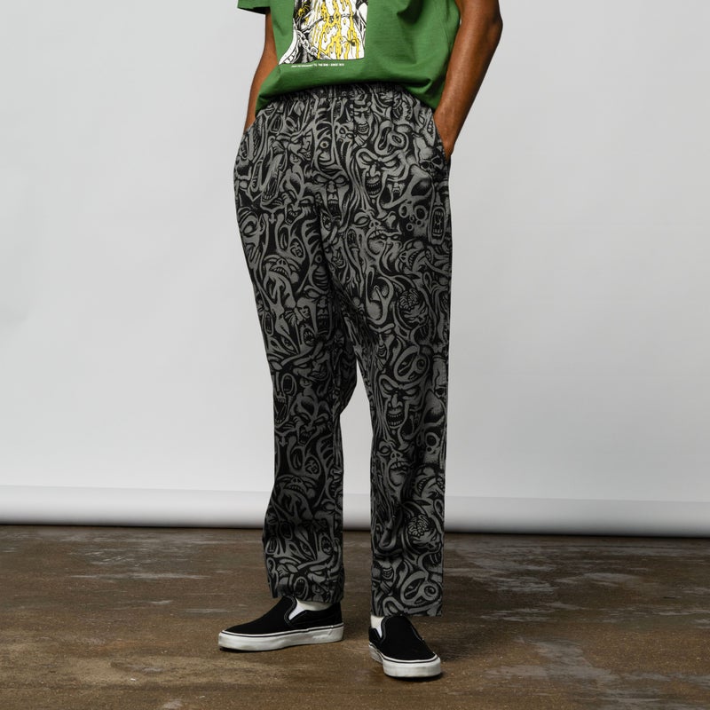 Santa Cruz Tab Pant, grey knox faces