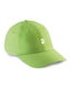 Poetic Classic Cap, green